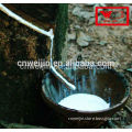 milk of rubber tree flows into a bowl